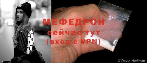 дживик Бородино