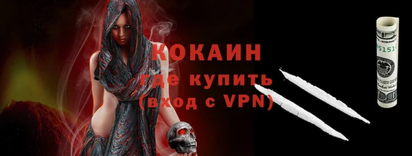 дживик Бородино