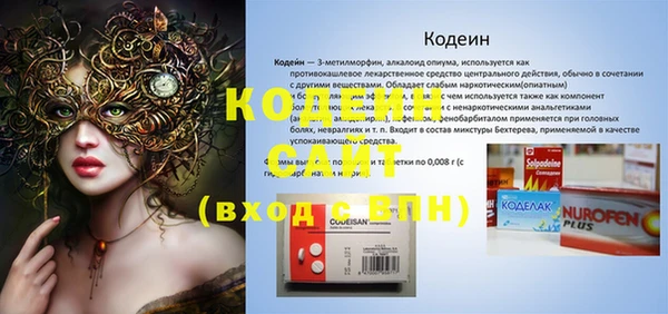 дживик Бородино