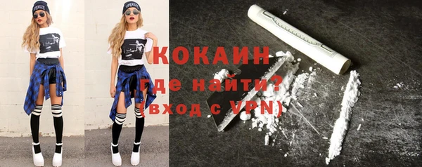 дживик Бородино