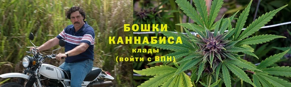 дживик Бородино