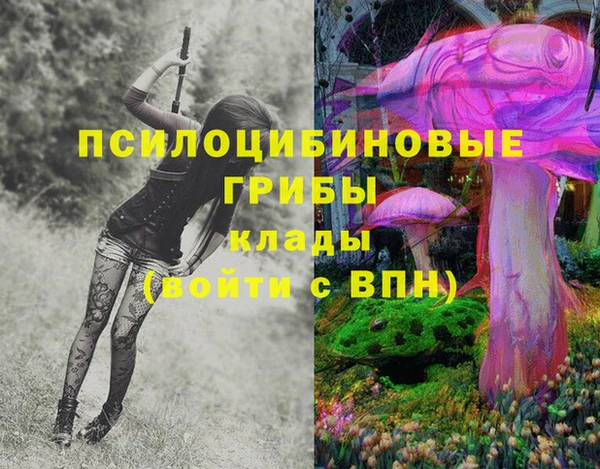 дживик Бородино