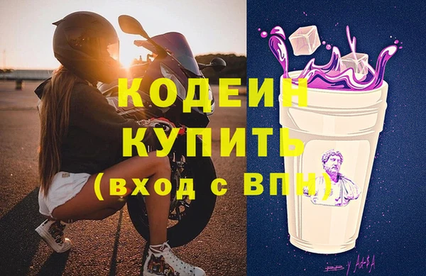 дживик Бородино