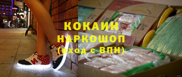 дживик Бородино