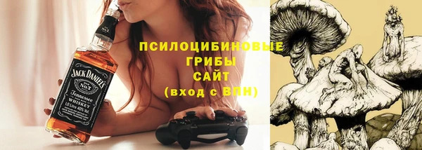 дживик Бородино