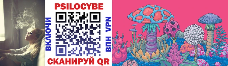 Галлюциногенные грибы Magic Shrooms  ОМГ ОМГ ССЫЛКА  Кириллов  закладка 
