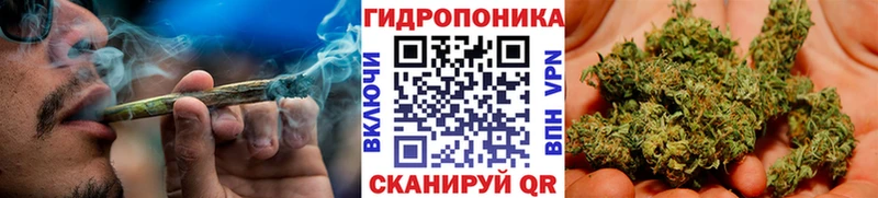 кракен ONION  Кириллов  Марихуана тримм  купить наркотики сайты 